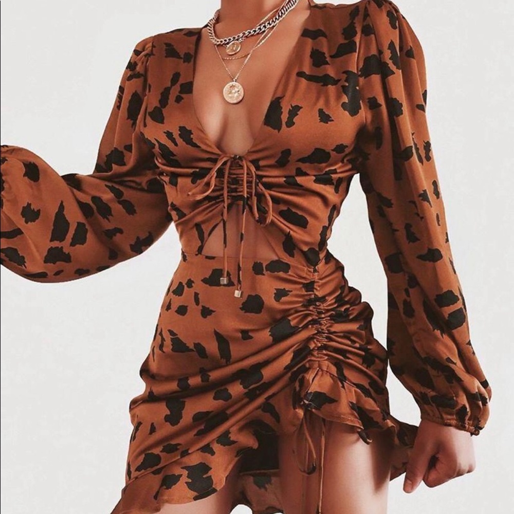 Women’s Leopard Print Rushed With Ties Dress